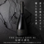 THE EVOLUTION 01